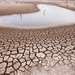 조지아 30개 카운티, 가뭄 재해지역 선포