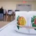 21일은 조지아주 예비선거일