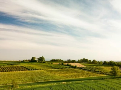 조지아 최고 땅 부자는 누구일까