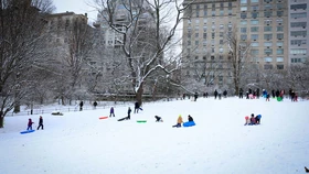 뉴욕에 3년만에 최대 폭설…항공기 수천편 결항·지연