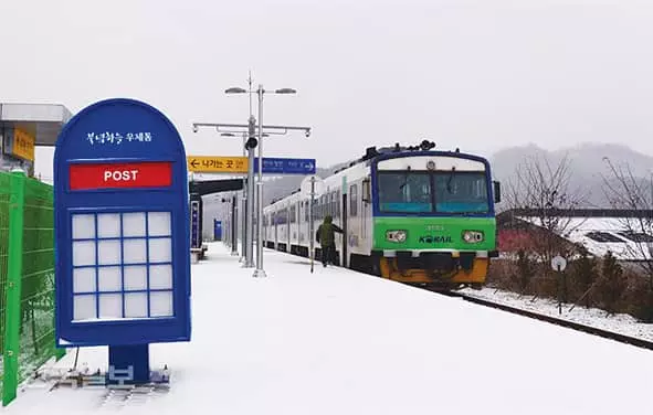 “두루루루”겨울 진객… 연천 민통선 두루미여행
