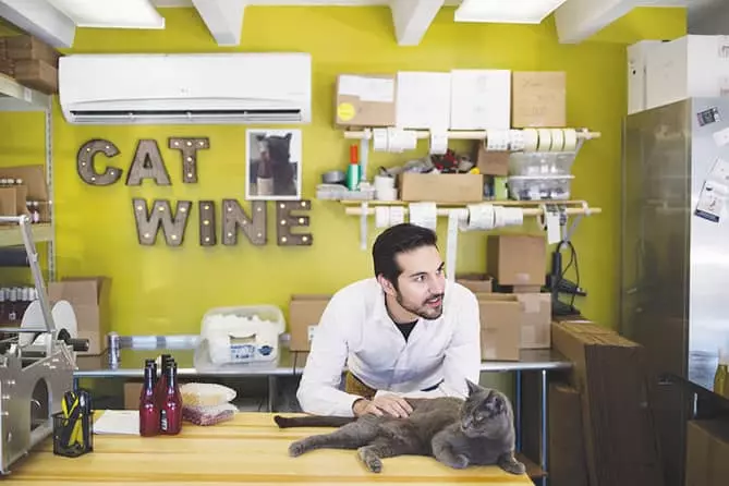 “애완동물도 가족” 고양이 와인 등장 인기