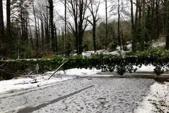 주말 조지아 북부 눈폭풍 강타