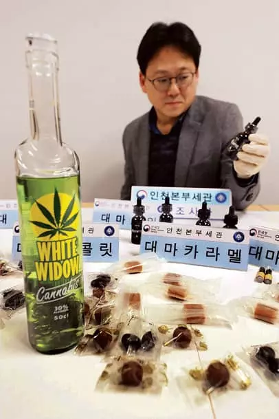 마리화나 미국→ 한국 반입 3배 급증