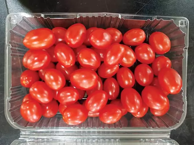 토마토·시금치·케일 먹으면 염증 줄인다
