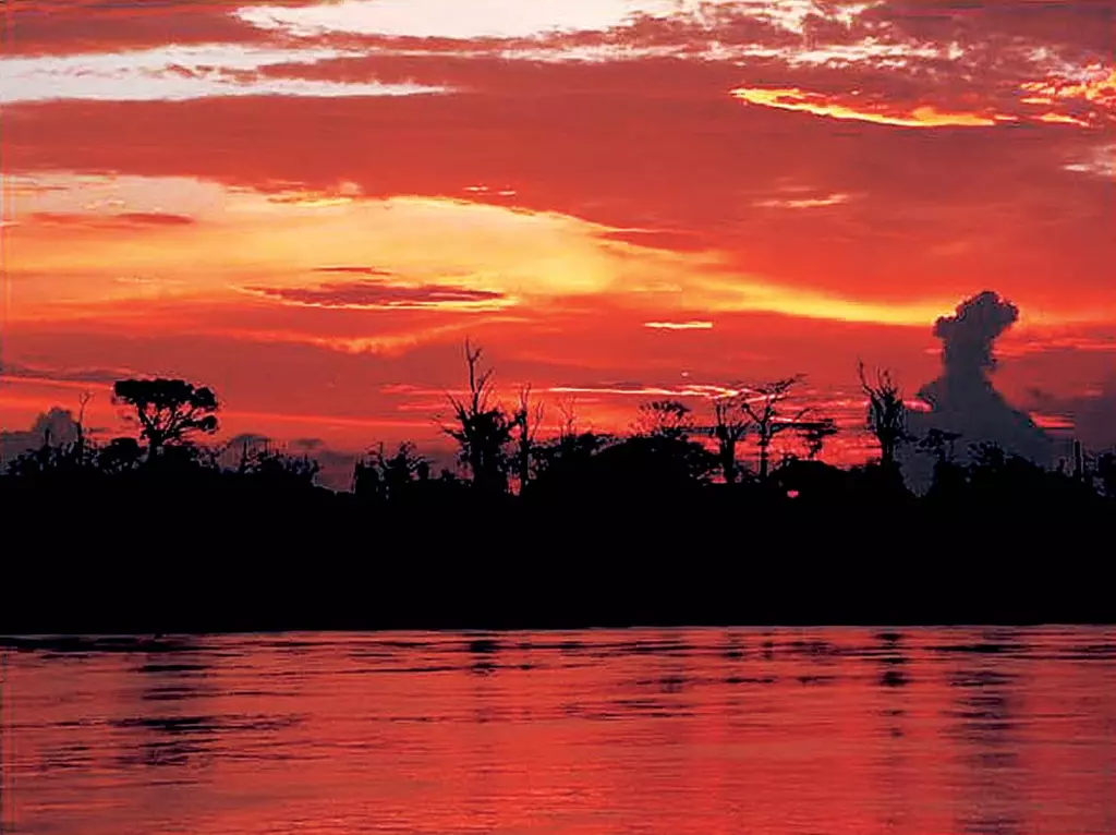 대자연 앞에 먹먹한 시간… 아마존 여행