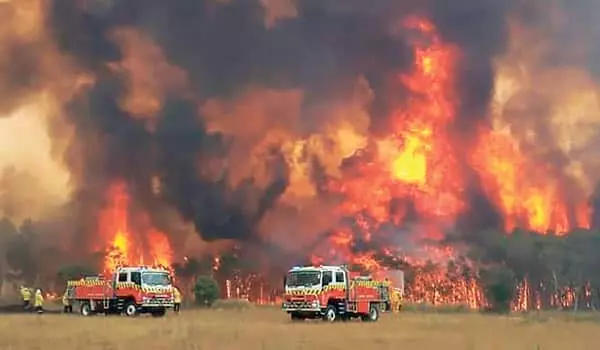호주 최악 산불…‘국가비상사태’ 선포