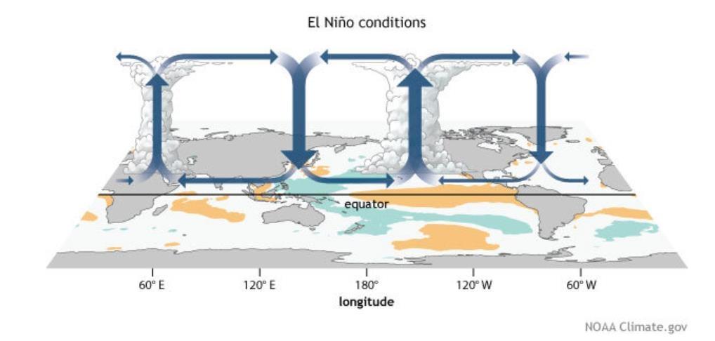 엘니뇨 조건에서 비정상적인 대기 흐름을 보여주는 이미지[미국 해양대기청(NOAA) 블로그 캡처. 재판매 및 DB 금지]
