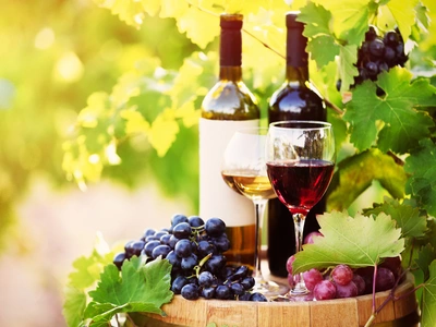 기상이변으로 포도 농작 타격 내년 와인 가격 오를까?