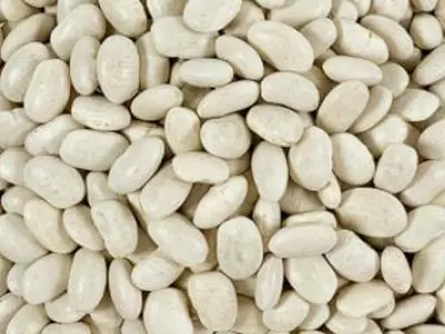 "흰강낭콩 하루 한 컵, 대장암 환자 장 건강 개선·유익균 증가"