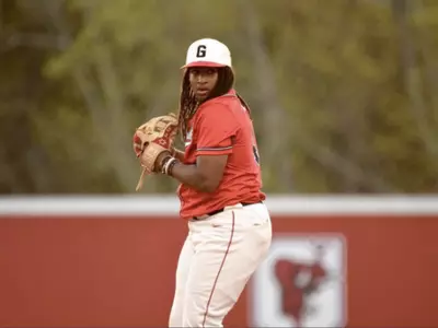 고교 야구선수 사고로 뇌사, 장기기증 결정