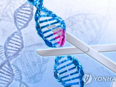 FDA, 첫 유전자가위 치료법 승인…겸상적혈구병 치료 길 열려