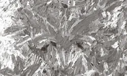 [이 아침의 시] 애기메꽃