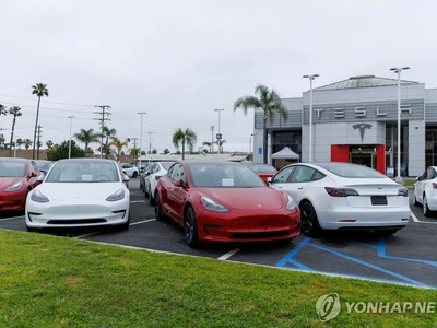 테슬라, 경고등 표시 문제로 220만대 리콜…"글자 작아"