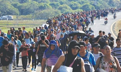 국경 위기인데… 불체자 수천명 풀어줄 판