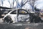 텍사스 산불, 서울 5배 면적 태우며 확산…"한인 피해 없어"