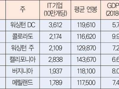 워싱턴 지역에 IT 일자리 많네