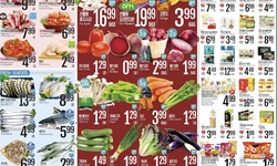 [올랜도 롯데플라자 세일정보] 화창한 봄맞이 세일