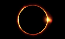 메트로, 4월 개기일식으로 휴교/조기 하교