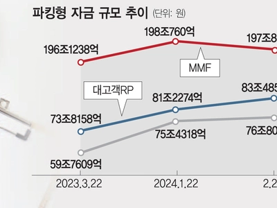 금리 변동기… 갈곳 잃은 돈, 파킹형 상품에 몰려