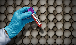 "조지아 생산 우유, 계란 안심해도 된다"