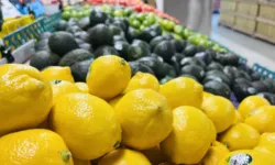 〈한인마트 정보〉 "봄나물 가득한 한인마트에서 장보세요"