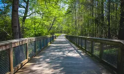 스와니, 아이비 크릭 그린웨이 개장