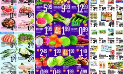 [롯데마트 세일정보] 5월 가정의달 세일