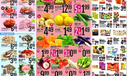 [롯데마트 세일정보] 5월 가정의달 세일