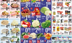 [롯데마트 세일정보] 메모리얼데이 빅 세일