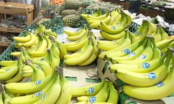 [한인마트정보]  가족 나들이 세일!