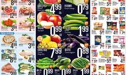 [롯데마트 세일정보] 해피파더스데이 세일