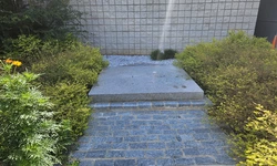 "한인회 역사에 또 하나의 오점 남겨"