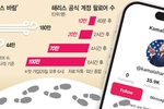 ‘밈 열풍’ 올라탄 해리스… 틱톡 전쟁, 미 대선 달군다