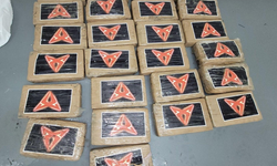 허리케인으로 플로리다 해변에 100만달러 상당 코카인 밀려와