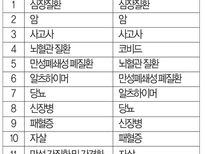 코비드, 조지아 주민 사망원인 4위→ 12위