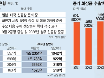 K뷰티 밀려드는 주문에… 화장품 ODM 빅4 ‘공장 증설’