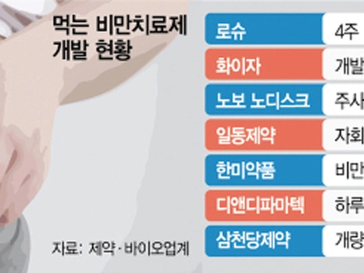 전 세계는 ‘먹는 비만약’ 개발 열풍…“게임체인저 될 것”