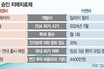 잇단 난관에도…치매신약 도전 ‘잰걸음’