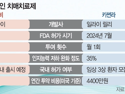 잇단 난관에도…치매신약 도전 ‘잰걸음’