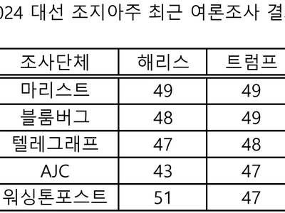 조지아, 트럼프 승리로 기우나