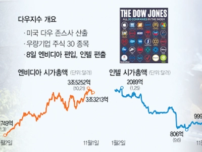 ‘AI의 힘’… 엔비디아, 인텔 밀어내고 다우지수 입성