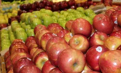 [한인마트 정보] ‘빼빼로 데이’ 과자 모음전 ∙∙∙신선 야채∙과일도 ‘듬뿍’