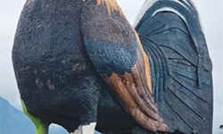 높이 35미터… 수탉 모양 호텔 화제