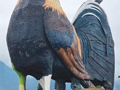 높이 35미터… 수탉 모양 호텔 화제