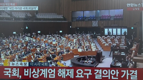 '비상계엄 해제요구 결의안' 본회의 가결…"계엄선포 무효"