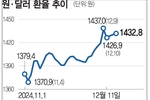 ‘환율 요동’ 유학생·주재원 ‘발동동’… 한국 방어 안간힘