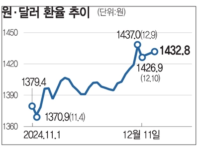 ‘환율 요동’ 유학생·주재원 ‘발동동’… 한국 방어 안간힘