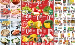 [롯데마켓 세일정보] 하우스웨어 제품 가격파괴 야드세일전 (20~25일)