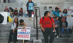 올해 이민자 추방 10년래 최다